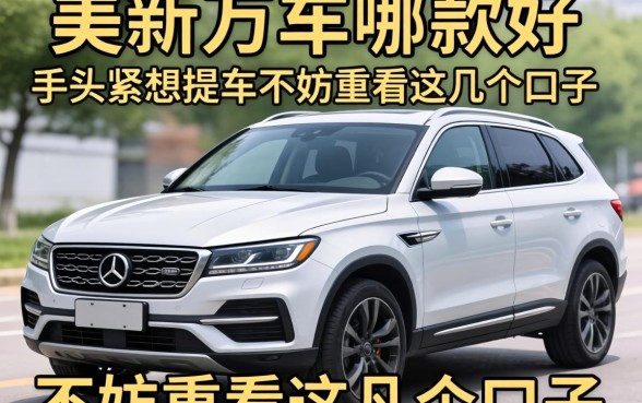 二十几万车哪款好？手头紧想提车不妨看看这几个口子
