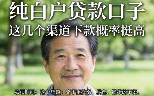 五十岁以上纯白户贷款口子,这几个渠道下款概率挺高