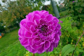 征信花了大数据花了哪里可以贷款,本文探讨十款714口子无视所有秒下的贷款